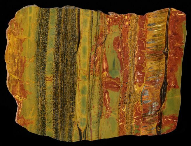 Marra Mamba Stromatolite - Mt Brockman ( Billion Years) #63098